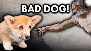 Why the Bible Hates Dogs or does it [upl. by Adama685]