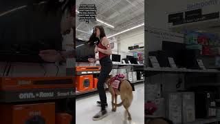 Service Dog Has Moves 💯 [upl. by Leitao738]