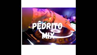 Tragos de amargo licor remix Pedrito mix 2022 [upl. by Alister]