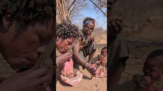 Bushmen bushmen roast meat [upl. by Stclair]