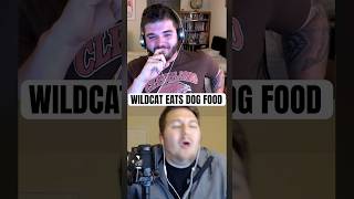 WILDCAT ATE DOG FOOD 8 YEARS AGO [upl. by Nibor]