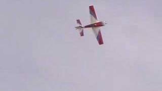 Hangar 9 Extra Giant RC Gas Airplane [upl. by Eeram]