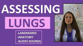 Lung Auscultation Landmarks Sounds Placement Nursing  Assessing Lungs Part 1 [upl. by Kcirrad373]