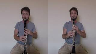 Scott Joplin  The Entertainer  clarinet duo [upl. by Caiaphas]