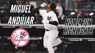 New York Yankees  Miguel Andújar  Home Run Highlights [upl. by Crane]