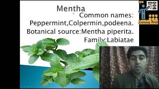 Pharmacognocy of MenthaMentha piperita [upl. by Akimik]