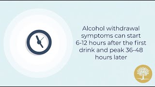 Is It Safe to Detox From Alcohol at Home  The Recovery Village Kansas City [upl. by Nawor]