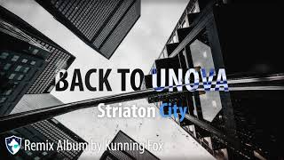 Striaton City Back to Unova  Remix Album by Kunning Fox Pokemon Remix BackToUnova [upl. by Alliuqahs]