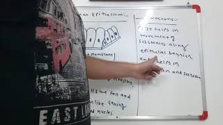 columnar epithelium tissue std9th cbse9th gseb std 9 chapter 6 [upl. by Eitisahc]