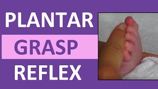 Plantar Grasp Reflex in Infant Newborn  Pediatric Nursing Assessment [upl. by Yenttihw]