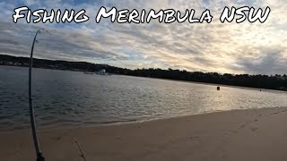 Australian Salmon Fishing in Merimbula [upl. by Sandler]