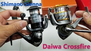 Spinning reel comparison  Shimano Sienna vs Daiwa Crossfire [upl. by Alaekim]