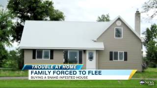 Snakes Take Over Idaho Familys Home Video ABC News [upl. by Neema]