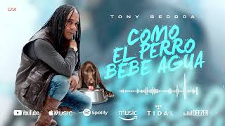 Tony Berroa  Como el perro bebe agua [upl. by Lexie813]