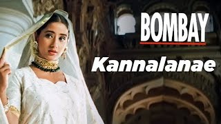 Kannalane Enadhu Kannai video Song HD  ARRahman  KSChithra  tamil love songs  tamil melody [upl. by Isyad458]