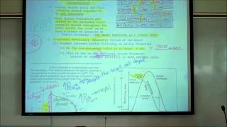 CARDIAC PHYSIOLOGY PART 2 by Professor Finkwmv [upl. by Hamian]