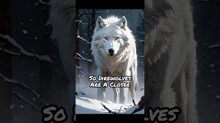 The Direwolves Explained Asoiaf  House Of The Dragon Lore shorts [upl. by Kyte]