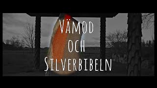 Rökstenens Vämod och Silverbibeln [upl. by Ecirahc122]