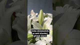 Araba süslemesi nasıl olur [upl. by Elleiram]