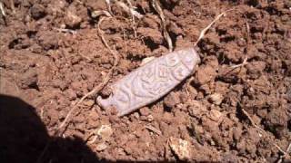 AngloSaxon Zoomorphic StrapEnd Metal Detecting Find [upl. by Leirda]