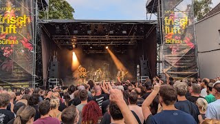 Wolfmother  Rock And Roll Led Zeppelin Cover  Live 2024  Posthof Linz 4K [upl. by Retepnhoj]