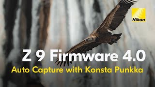 Nikon Z 9 firmware v400  Pruebas de captura automática en fotografía de vida salvaje [upl. by Yditsahc]