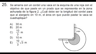 Ejercicio 25  versión rápida [upl. by Orag653]