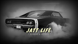 Jatt Life  Slowed amp Reverb   Varinder Brar [upl. by Jago]