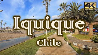 Turismo en IQUIQUE – CHILE ¿Qué visitar 4K [upl. by Annelise578]