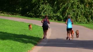 Friends JOGGING together in the park [upl. by Bathsheba]