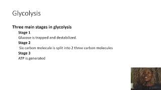 Biochemistry SimplifiedGlycolysis [upl. by Junius309]