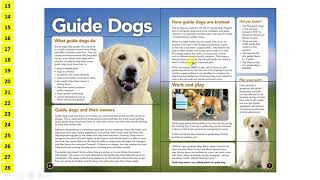 2015 KS2 SATs Reading paper walkthrough Guide Dogs [upl. by Ty]