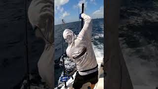 Wahoo solo mission countrymusic newmusic music fishing wahoo [upl. by Undis489]