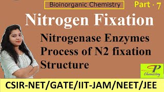 Nitrogen Fixation Process  Nitrogenase Enzymes  Bioinorganic Chemistry for CSIRNET  IITJAM [upl. by Coleen]