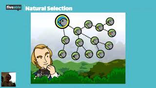 AP Bio  Microevolution amp Natural Selection [upl. by Jegger]