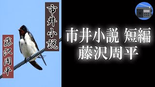 【朗読】「市井小説 短編」市井に生きる男女の哀歓と人情の機微を、鏤骨の文章でつづる珠玉の短編！【時代小説・歴史小説／藤沢周平】 [upl. by Nanyk]