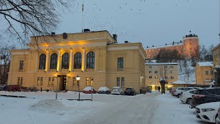 Uppsala Sweden  All 13 Student Nations Walking Tour 4K [upl. by Vivian]