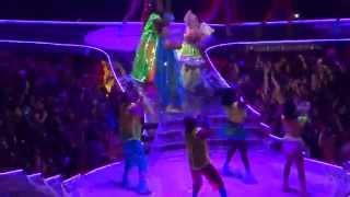 Lady Gaga  Applause  Live in Fort Lauderdale FL  artRave The ARTPOP Ball [upl. by Frohman]