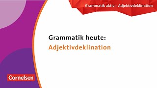 Adjektivdeklination  Grammatik üben mit der neuen Grammatik aktiv [upl. by Oiramrej533]