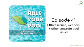 Weepers Efflorescence and Calcium Nodules  Rule Your Pool Episode 41 [upl. by Louanna572]