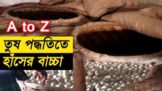 কিভাবে তুষ পদ্ধতিতে হাঁসের বাচ্চা ফোটানোর হ্যাচারি তৈরি করবেন  মাসে ৭০৮০ হাজার টাকা লাভ  SK 94 [upl. by Rodrick]