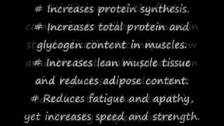 SciFit EcdySterone 300 [upl. by Atimed]