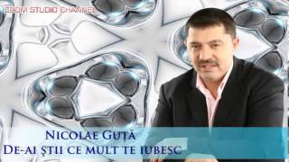 NICOLAE GUTA  DEAI STII CE MULT TE IUBESC ZOOM STUDIO [upl. by Dibri933]