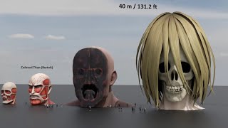 Head Titan Size Comparison Shingeki no Kyojin [upl. by Hcir]