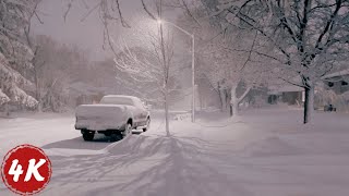 Night Walk in Extreme Winter SNOW STORM  Southern Ontario Canada Jan 2024  4K [upl. by Rosenfeld985]