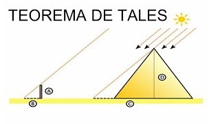 APRENDA TEOREMA DE TALES AGORA [upl. by Kimble612]