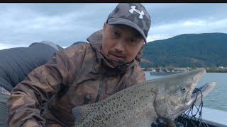 Chinook Salmon Fishing 3 [upl. by Lupee162]