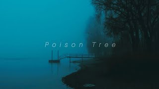 Grouper Poison Tree Slowed and Reverb [upl. by Gromme]