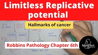 Limitless Replicative Potential Immortality Hallmark of Cancer pathology neoplasia mbbslectures [upl. by Tsepmet]