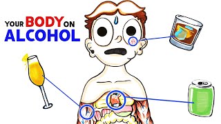 How Alcohol Changes Your Body [upl. by Andrade]